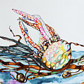Rainbow Jellyfish